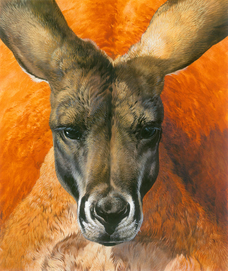 759x900 Kangaroo Portriat Painting By John Francis - Kangaroo Painting