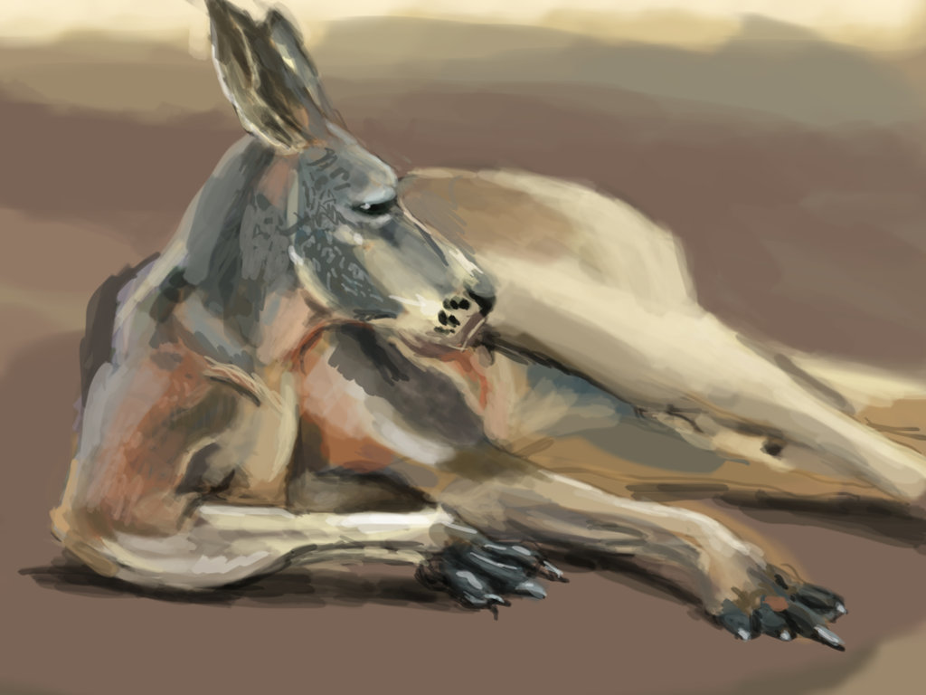 1024x768 Lounging Kangaroo Speed Painting By Inari123 - Kangaroo Painting