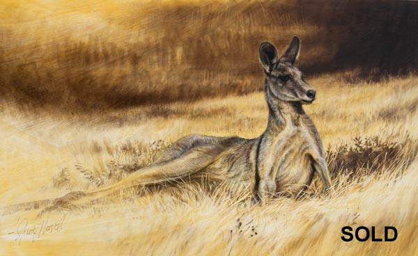 600x368 Steve Morvell Australian Wildlife Artist Painting Eastern Grey - Kangaroo Painting