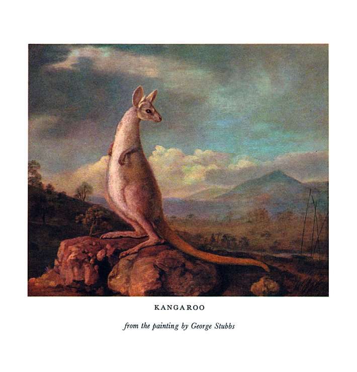 710x739 The Kangaroo In Australian Painting Suz Landscape Painting Journal - Kangaroo Painting