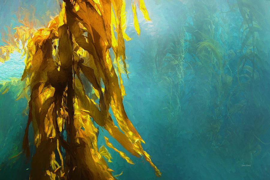 900x600 Kelp Forest Painting By Russ Harris - Kelp Forest Painting