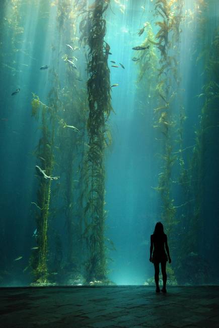 435x650 Kelp Forest By Ivanlo - Kelp Forest Painting