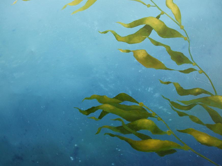 872x654 Sito Artchive - Kelp Forest Painting