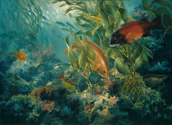 600x435 Fish Art And Coastal Landscapes By Diane Peebles - Kelp Forest Painting