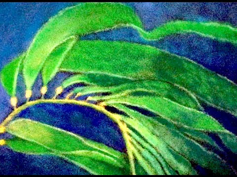 480x360 Art With Salt - Kelp Painting