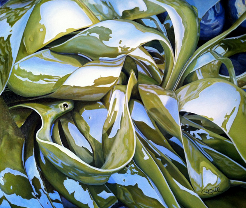 845x716 Realism And Beyond ~ Becky Miller Cole Gallery ~ An Artist'S - Kelp Painting