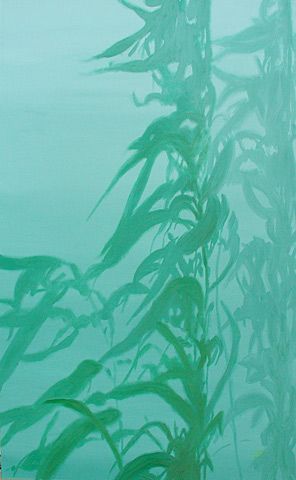 296x480 California Kelp Underwater - Kelp Painting