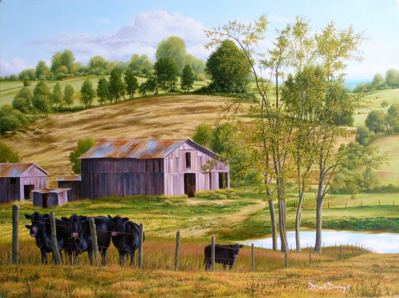 800x597 Rural Kentucky Original Oil Painting Of Angus Cows Mark Downey - Kentucky Painting
