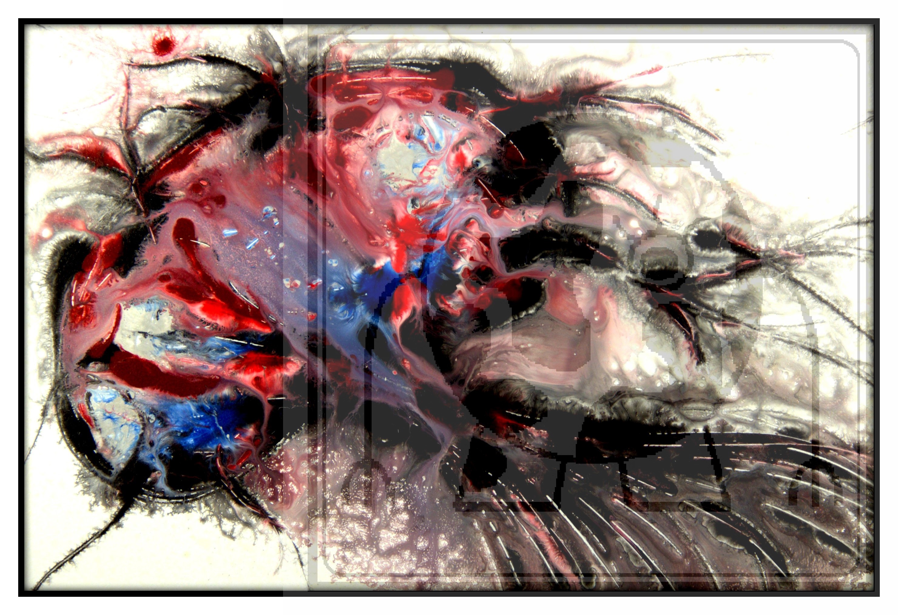 2960x2027 Kidney - Kidney Painting