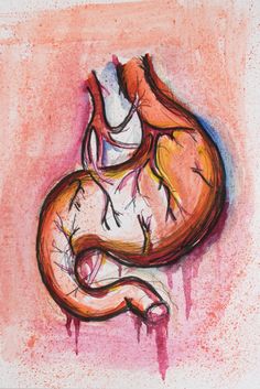 236x353 Kidney Watercolor Print - Kidney Painting