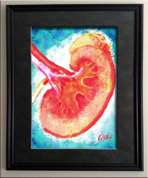 500x600 Kidney Bisection I Paul Collard Art - Kidney Painting