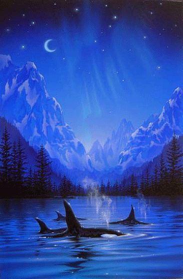 366x556 Moonlight Night Journey - Killer Whale Painting