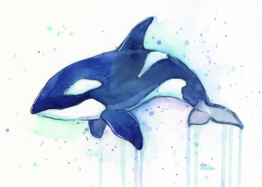 900x642 Kiler Whale Watercolor Orca Painting By Olga Shvartsur - Killer Whale Painting