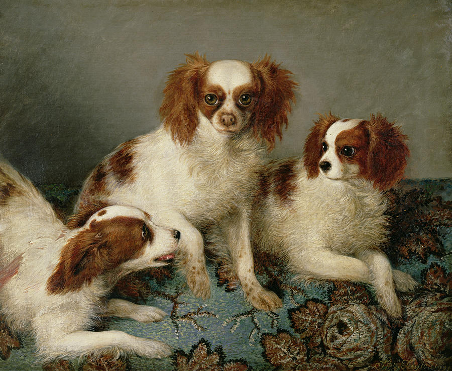 900x738 Three Cavalier King Charles Spaniels On A Rug Painting By English - King Charles Spaniel Painting