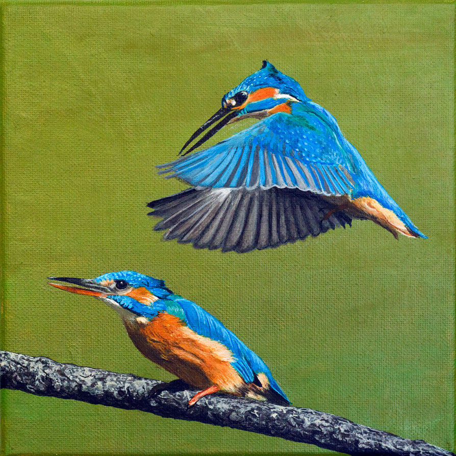 894x894 Kingfisher Painting By Thrumyeye - Kingfisher Painting