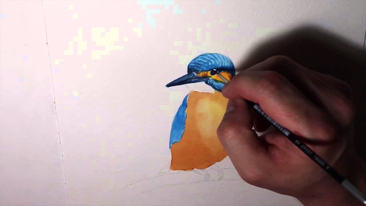1280x720 Kingfisher Speed Painting - Kingfisher Painting