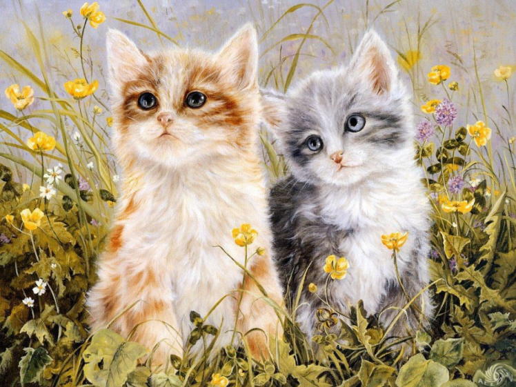 748x561 Kitten Paintings. Shirley Deaville - Kitten Painting