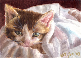 340x246 Cat Paintings In Watercolor, Cats, Kittens, - Kitten Painting