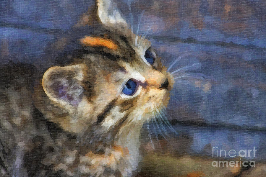 900x600 Cute Kitten Oil Painting Digital Art By Jill Lang - Kitten Painting