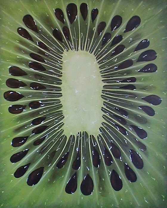 560x700 Kiwi Painting By Cathy Savels - Kiwi Painting