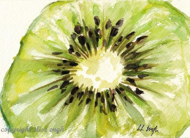 631x457 Original Watercolor Kiwi Paintings By Elise Engh Watercolor - Kiwi Painting