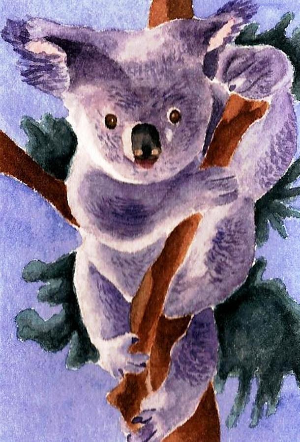610x900 Koala Bear Painting By Chris Martinez - Koala Bear Painting