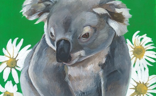 505x312 Motivation From Leonardo And A Koala Bear (And A Very Special - Koala Bear Painting