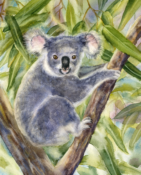 Koala Bear Painting at PaintingValley.com | Explore collection of Koala ...