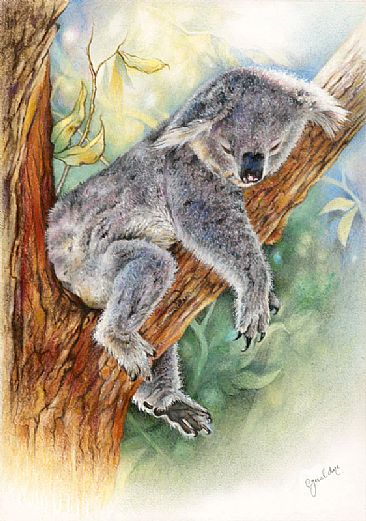 366x521 Koala - Koala Painting