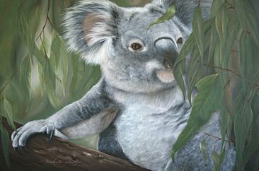 366x242 Koala - Koala Painting