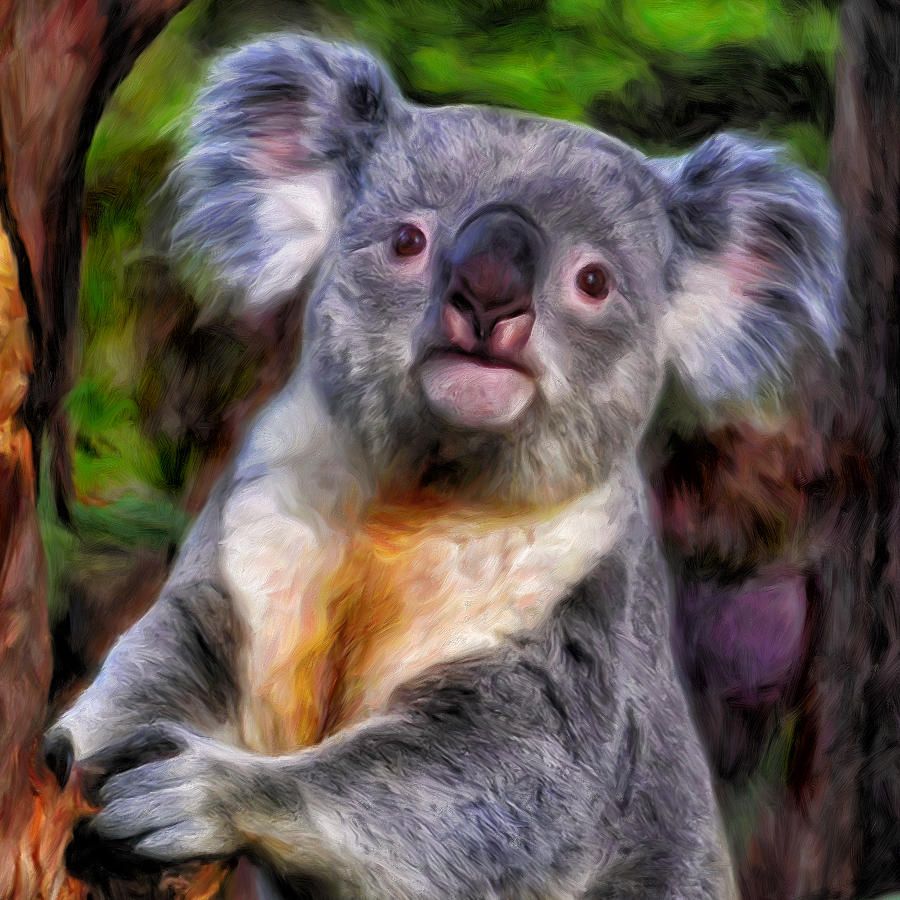 900x900 Koala Painting - Koala Painting