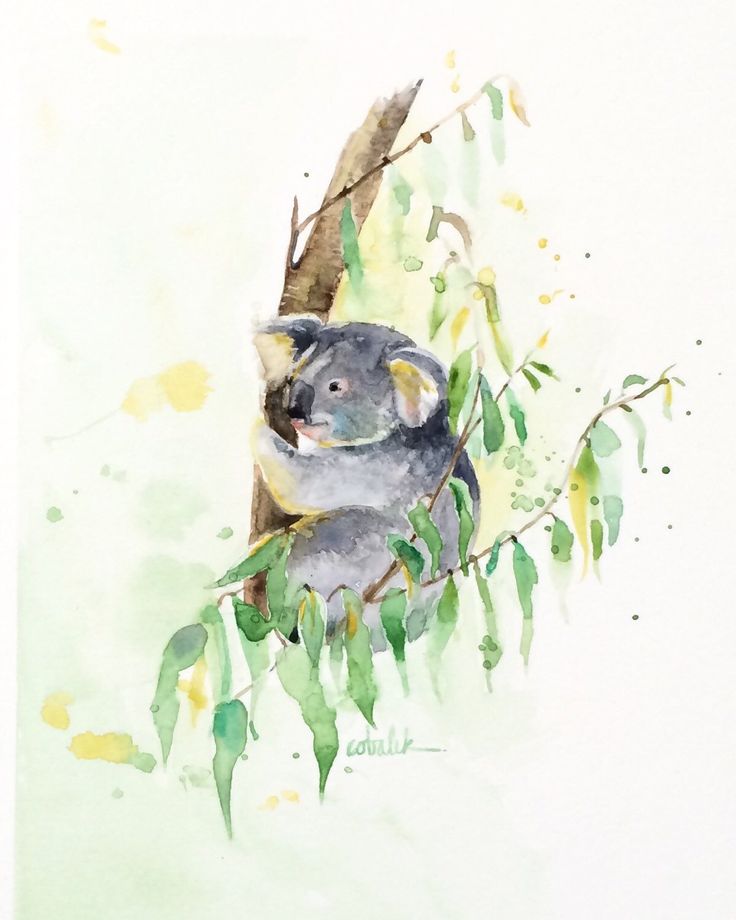 736x920 Koala Painting - Koala Painting