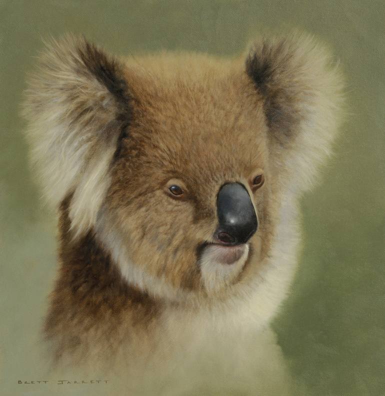 770x792 Saatchi Art Ol' Timer Koala Painting By Brett Jarrett - Koala Painting