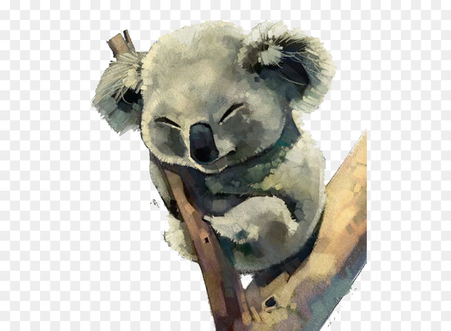 900x660 Australia Koala Watercolor Painting - Koala Painting