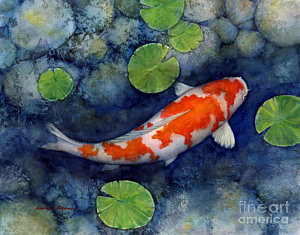 300x235 Koi Fish Watercolor Paintings Fine Art America - Koi Fish In Pond Painting