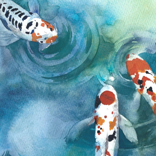 600x600 Koi Fish In A Pond Ver2 Chinese Watercolor Style Art - Koi Fish Painting Watercolor