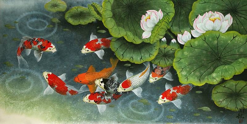 800x403 Koi Fish And Lillies Feeding Time Painting - Koi Fish Painting Watercolor