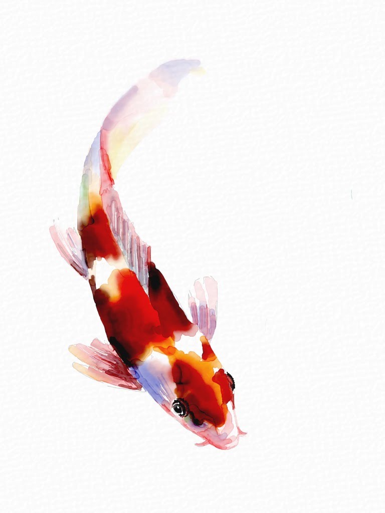768x1024 How To Paint A Koi Fish Using Auryn Ink - Koi Fish Painting Watercolor