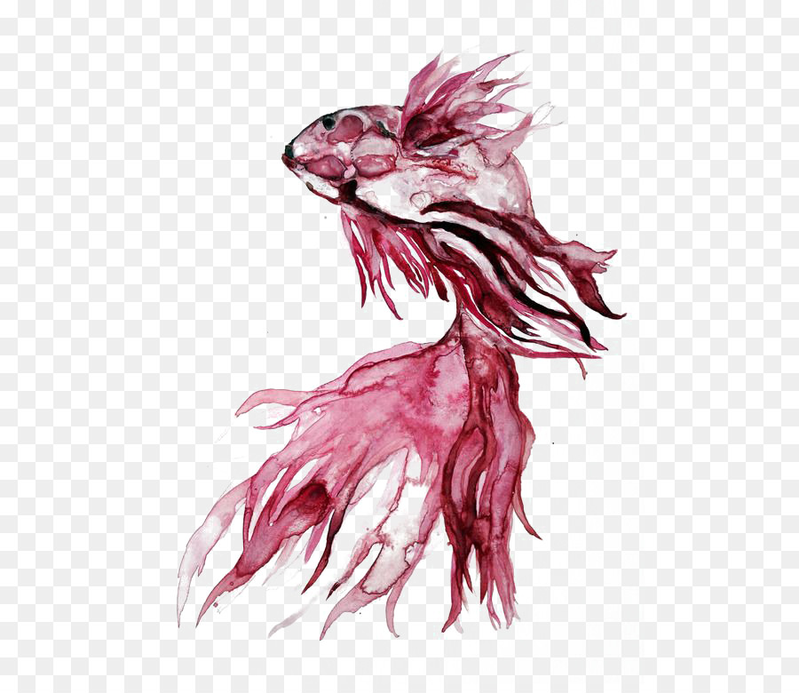 900x780 Koi Siamese Fighting Fish Carassius Auratus Watercolor Painting - Koi Fish Watercolor Painting