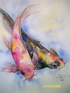 236x314 Orange Amp Yellow Koi Fish Watercolor Print Signed By Artist - Koi Fish Watercolor Painting