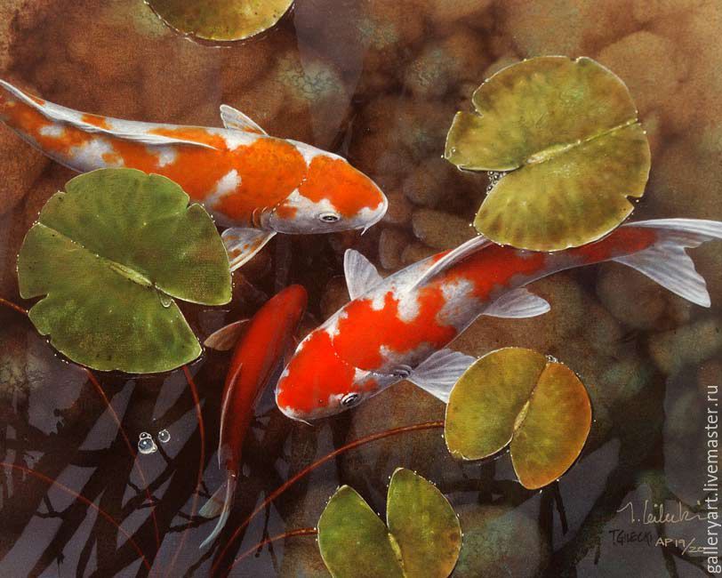 812x650 The Painting Koi Shop Online On Livemaster With Shipping - Koi Oil Painting