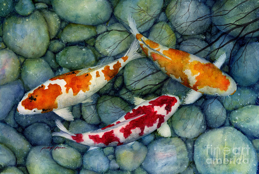 900x606 Serenity Koi Painting By Hailey E Herrera - Koi Painting