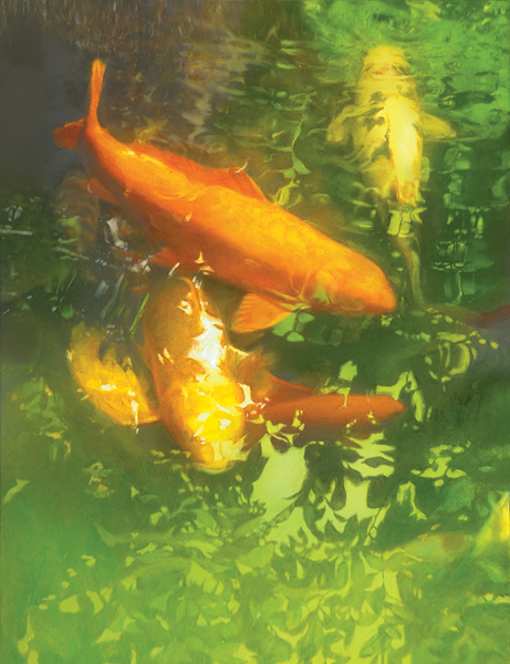 461x600 Painting The Wild Koi - Koi Pond Painting