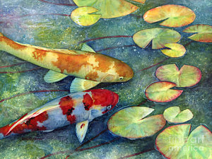 300x225 Koi Fish Watercolor Paintings Fine Art America - Koi Watercolor Painting