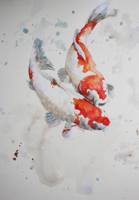 480x689 Two Koi Carp Alex Egan, Artist - Koi Watercolor Painting