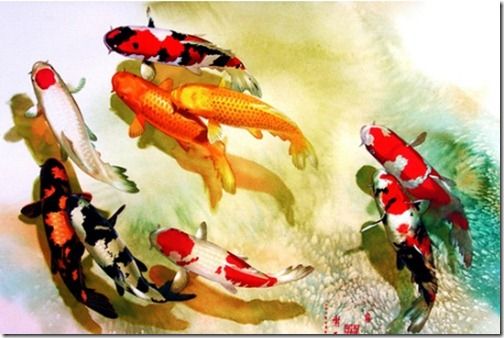 504x338 Koi Watercolor By Sia Yekchung. (Wonder If It Was Painted Using - Koi Watercolor Painting