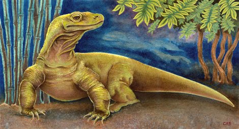 470x254 Christian Alexander Artwork October 2010 - Komodo Dragon Painting