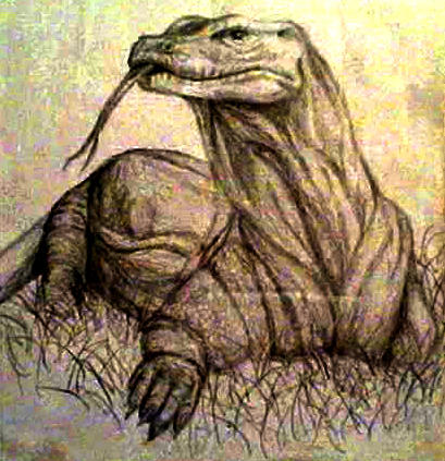 409x423 Komodo Dragon By Mandymcpebbleface - Komodo Dragon Painting