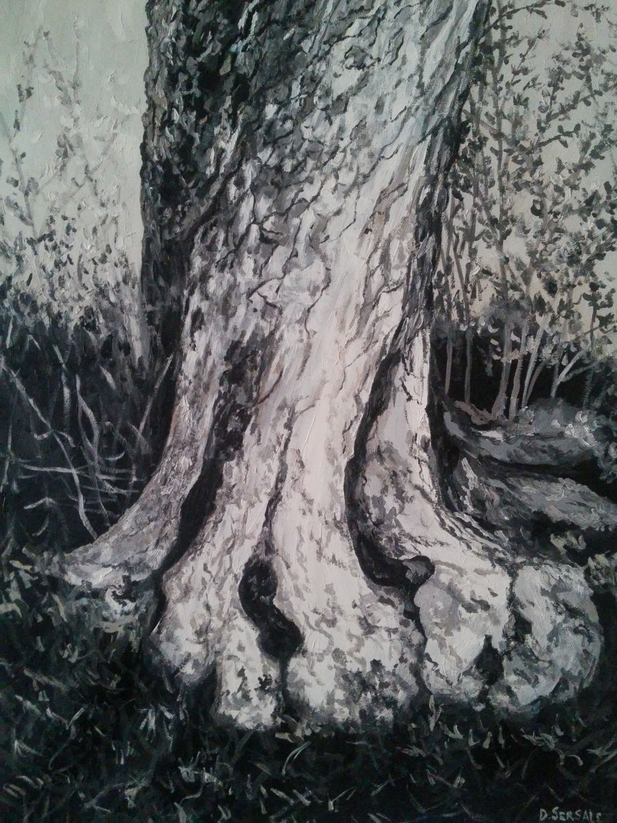 900x1200 L'Ulivo Original Oil Painting (Daniela Sersale) - L Painting