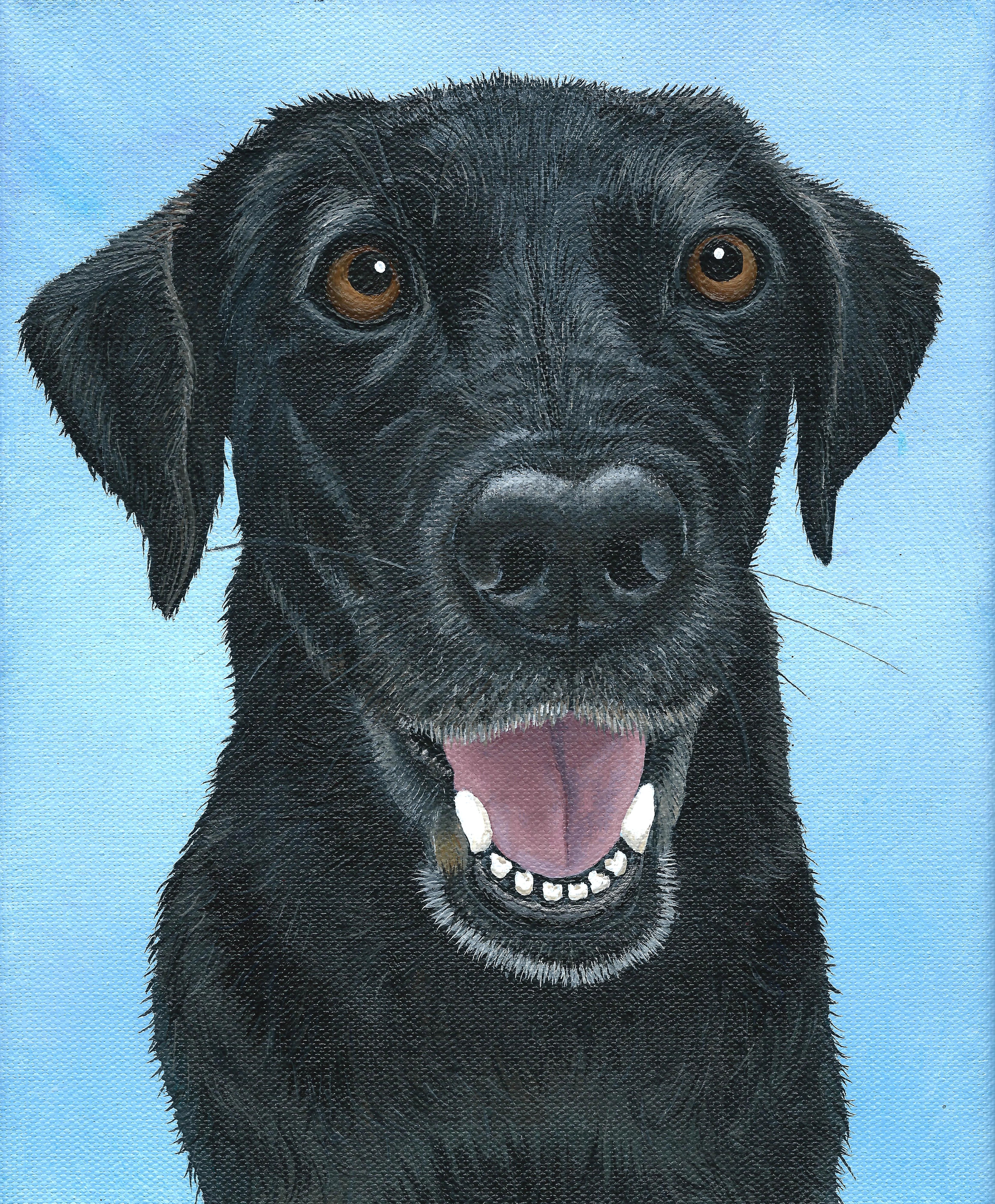 4651x5628 Black Lab Painting Of Lucy. By Linda M. Rowan, 12 10 16. Acrylic - Lab Painting